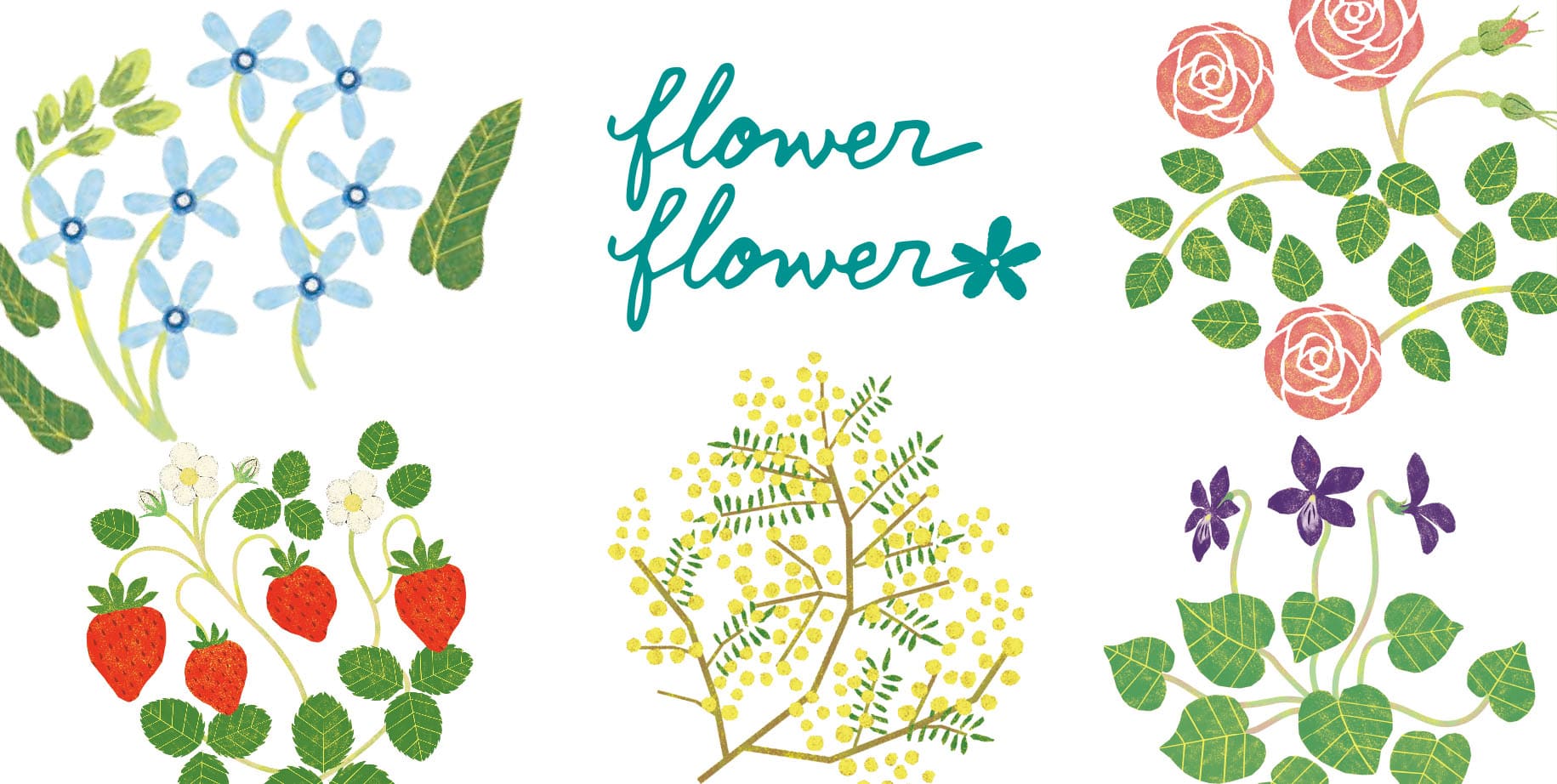 flower flower
